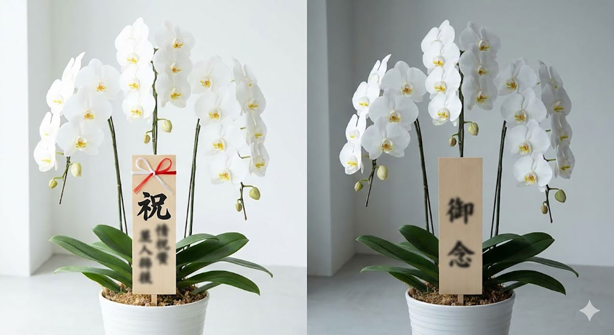 胡蝶蘭 立札 書き方